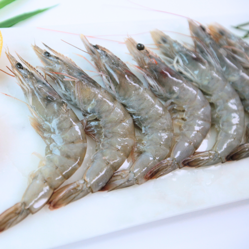 SE01. 새우 1kg