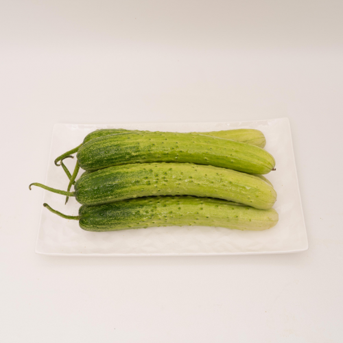 V20. 백오이 1pack