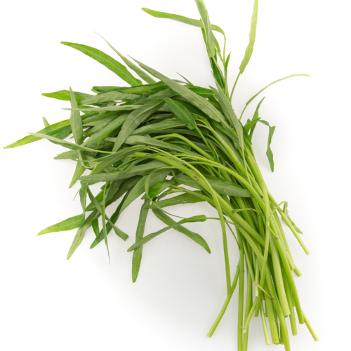 V32. 공심채 500g
