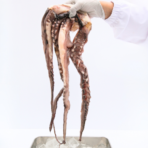 SE17. 오징어다리 1kg